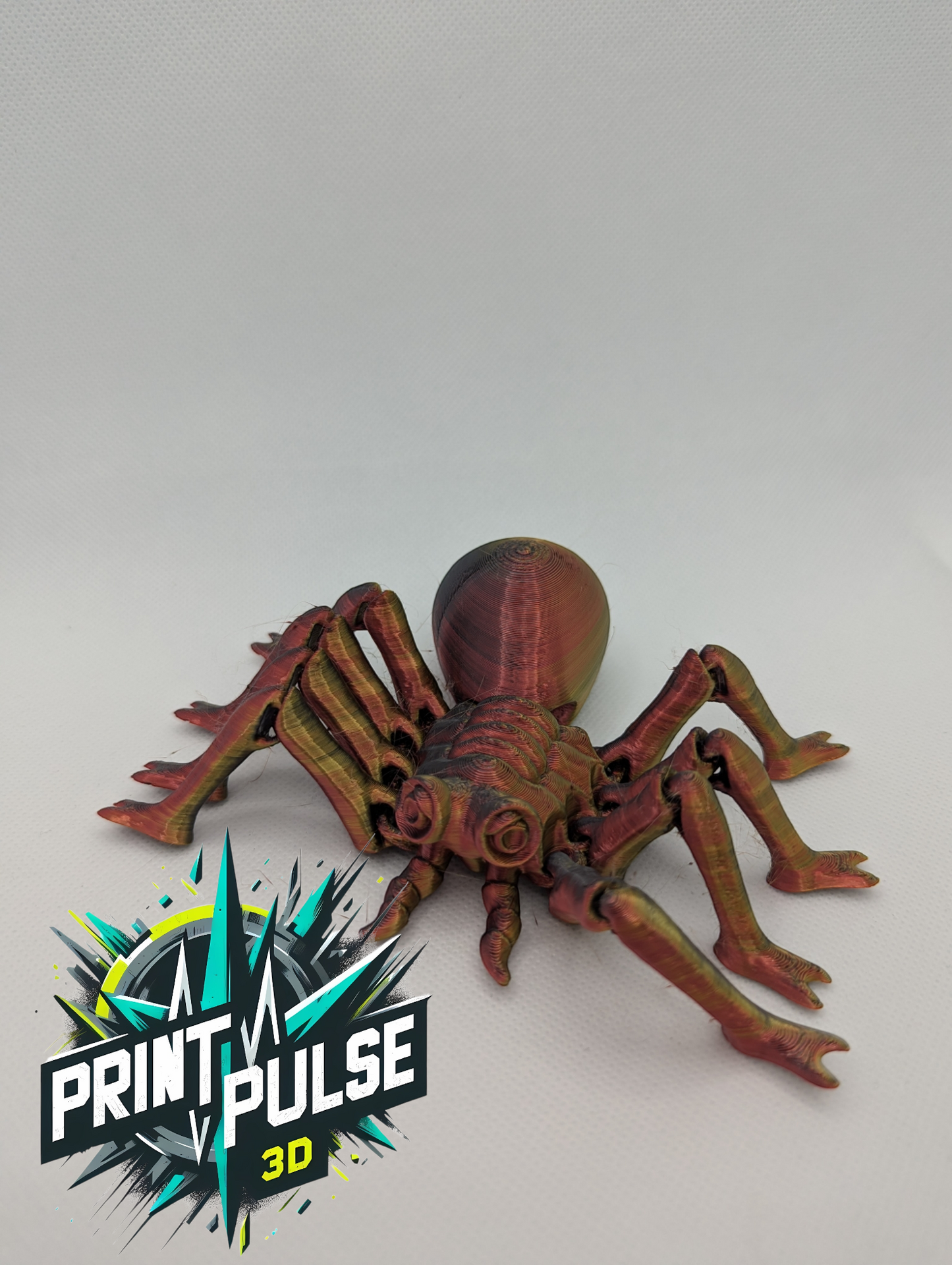 Flexi Spider